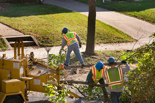 Best Seasonal Cleanup (Spring/Fall)  in Sanibel, FL